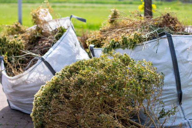 Best Retail Junk Removal  in Dauphin Island, AL